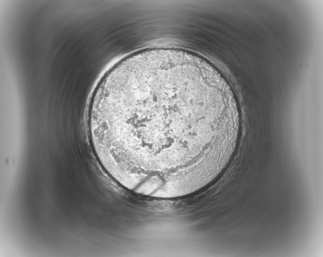 X0000103431248200810031344