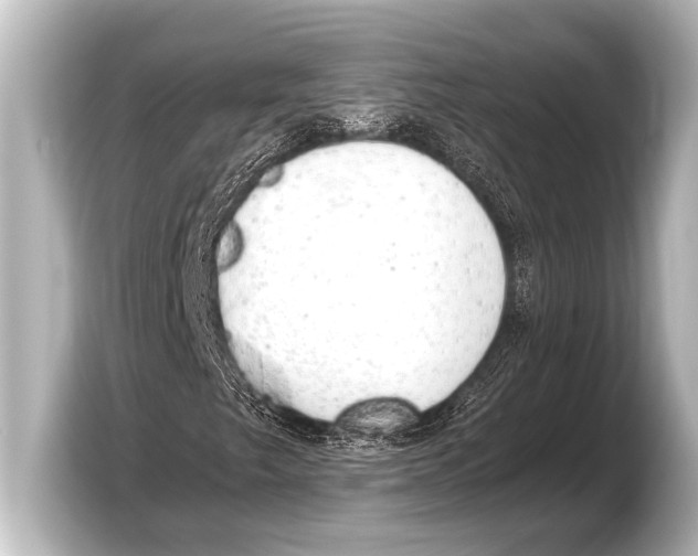 X0000103431249200810031344