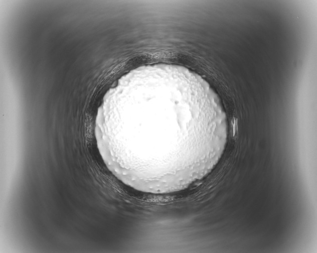 X0000103431251200810031344