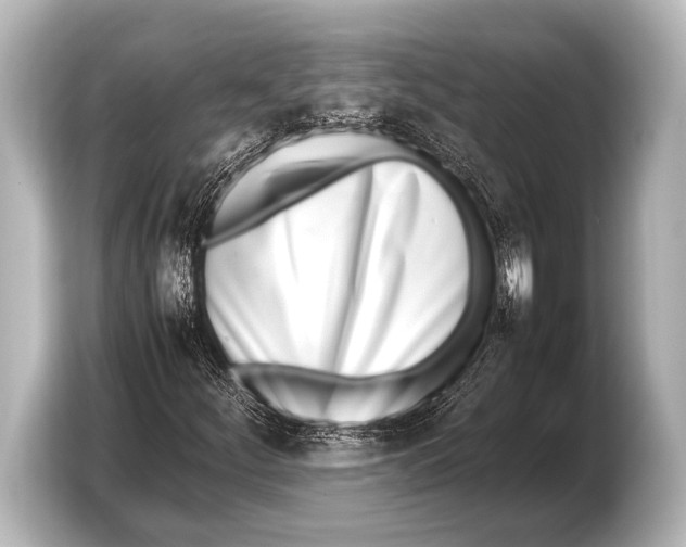 X0000103431252200810031344