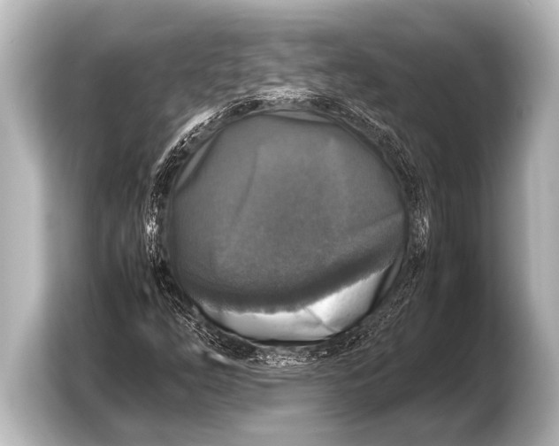 X0000103431254200810031344