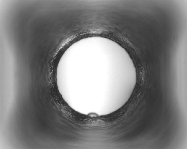 X0000103431256200810031344