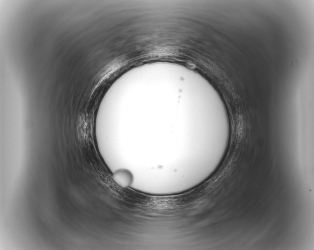 X0000103431258200810031344