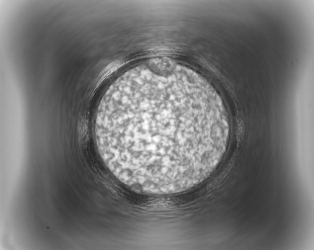 X0000103431259200810031344