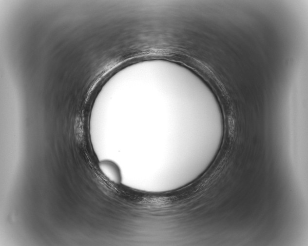 X0000103431260200810031344