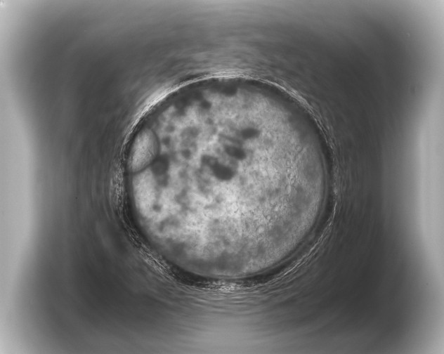 X0000103431263200810031344