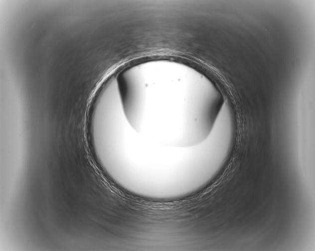 X0000103431264200810031344