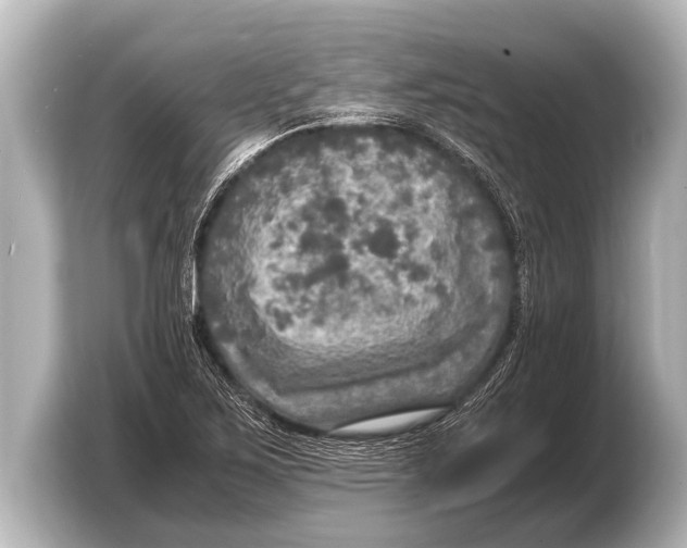 X0000103431267200810031343