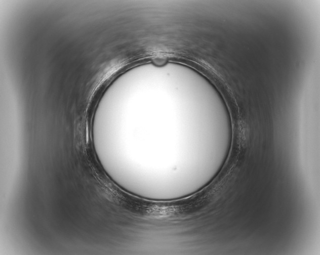 X0000103431269200810031343