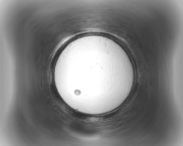 X0000103431271200810031343