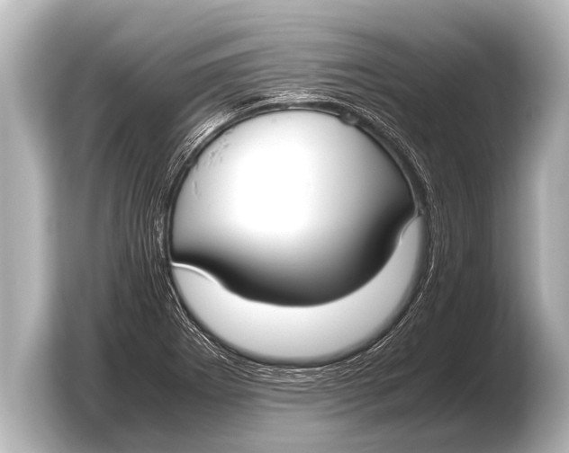 X0000103431273200810031343