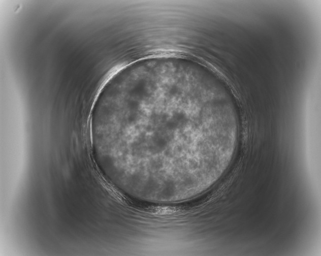 X0000103431275200810031343