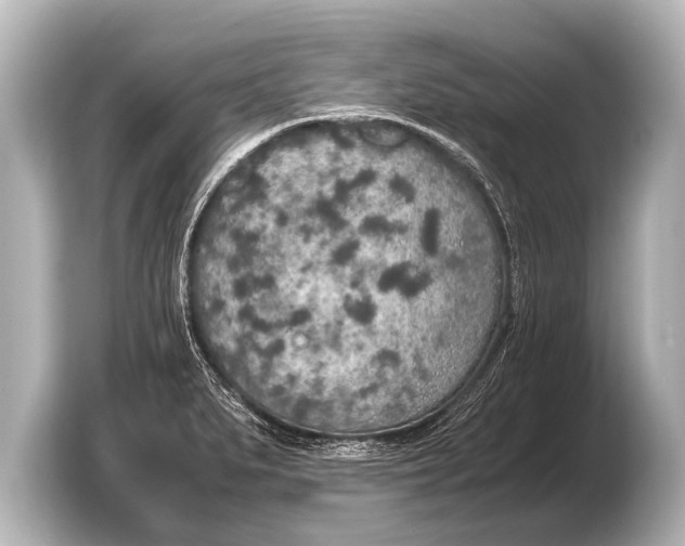 X0000103431279200810031343