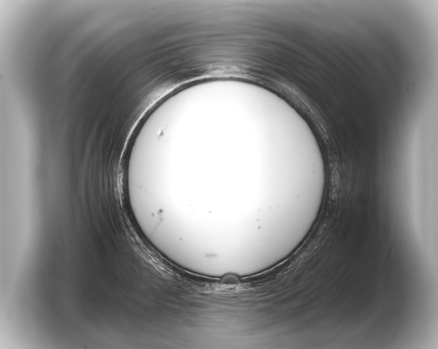 X0000103431284200810031343