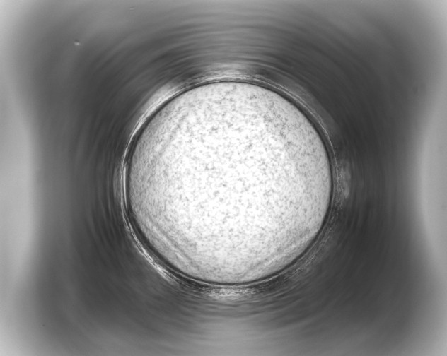 X0000103431290200810031343