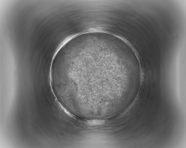 X0000103431294200810031343