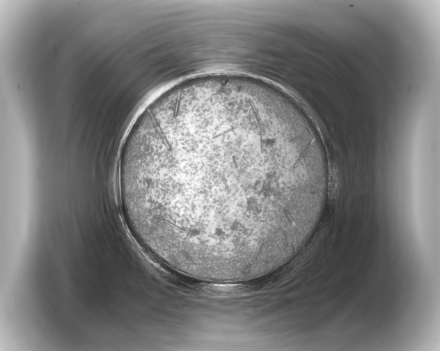 X0000103431295200810031343