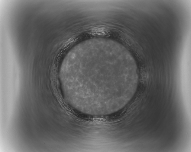 X0000103431297200810031342