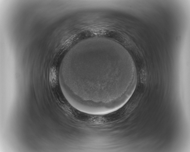 X0000103431298200810031342