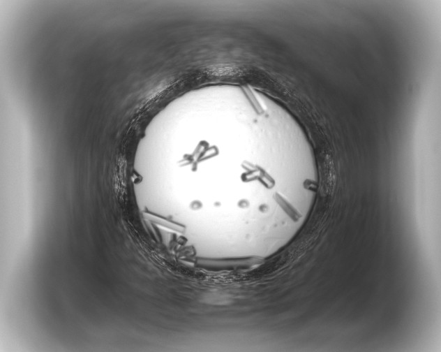 X0000103431301200810031343