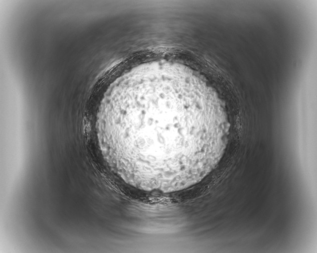 X0000103431302200810031343