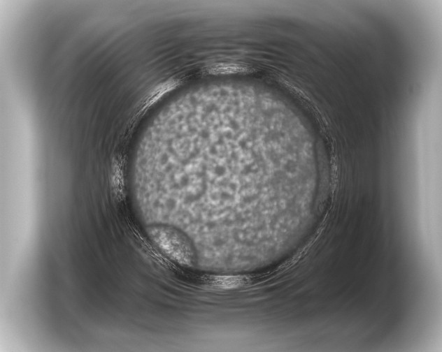 X0000103431305200810031343