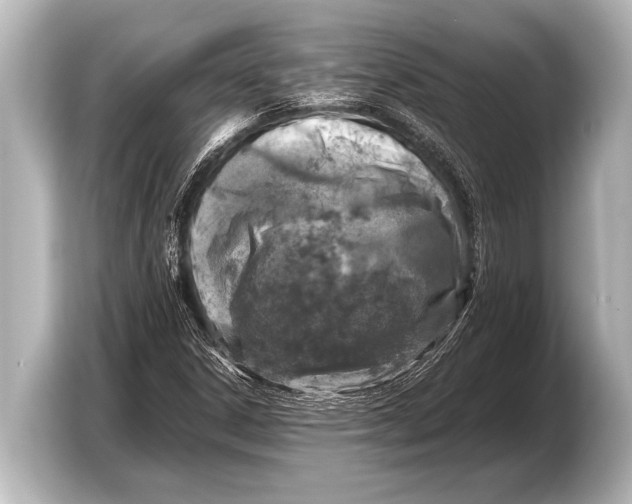 X0000103431306200810031343