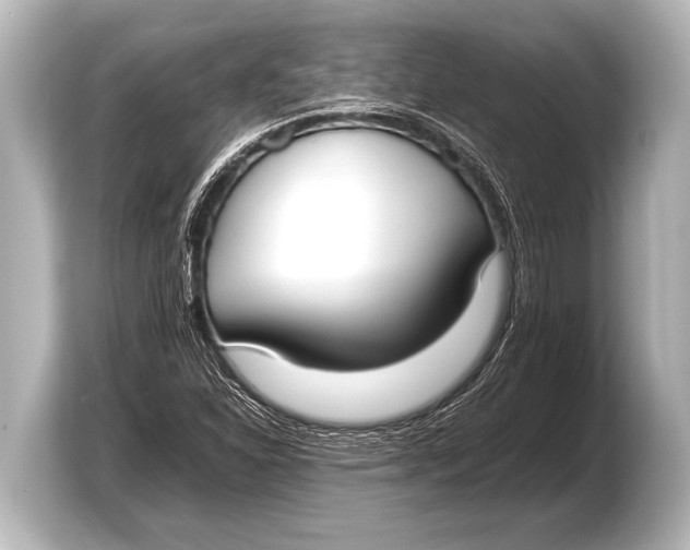 X0000103431310200810031343