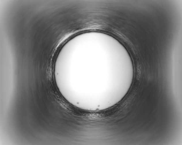 X0000103431316200810031343