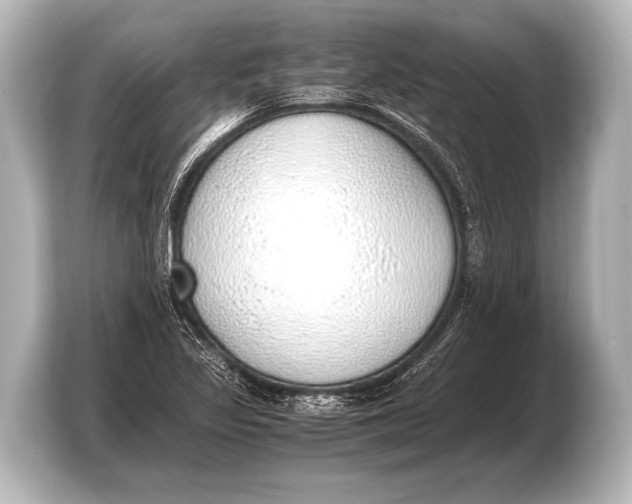 X0000103431317200810031343