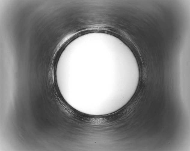 X0000103431320200810031343