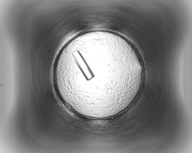 X0000103431333200810031343