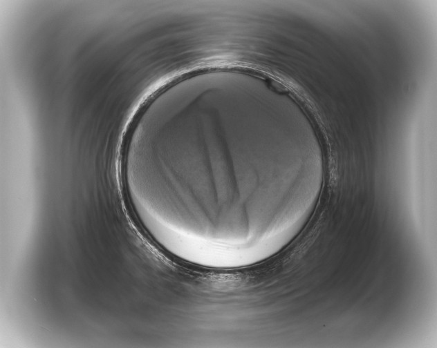 X0000103431334200810031343