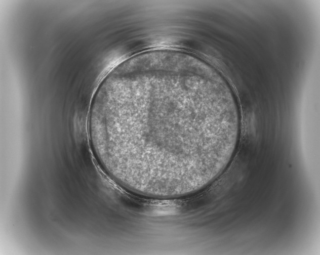 X0000103431338200810031343