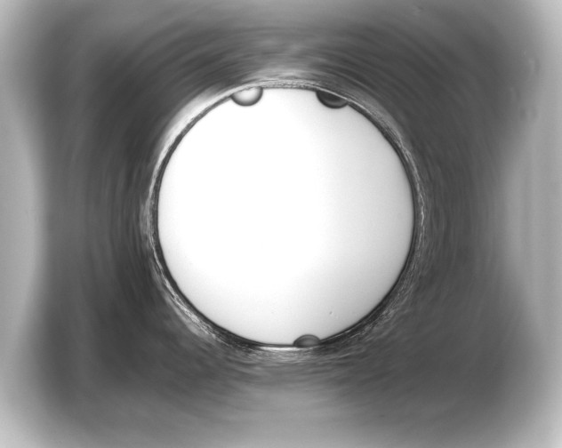 X0000103431344200810031343