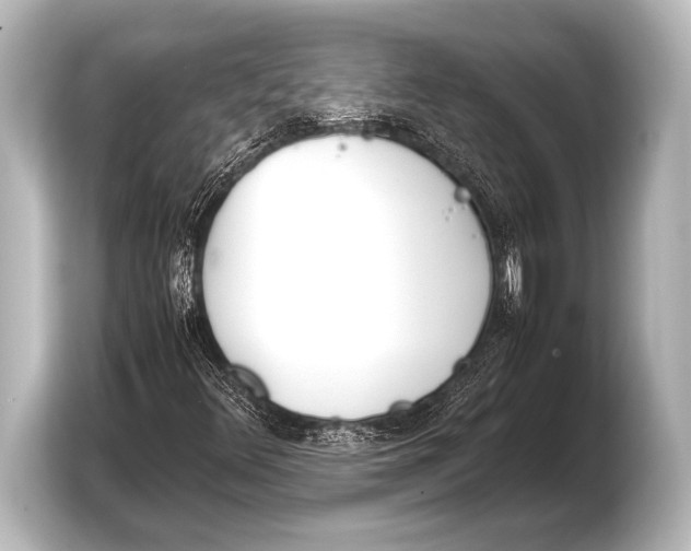 X0000103431348200810031342