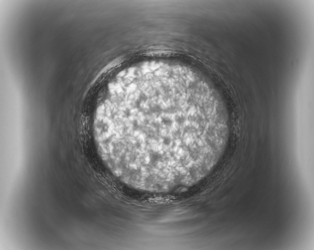 X0000103431351200810031342