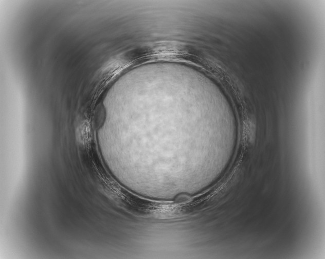 X0000103431353200810031342