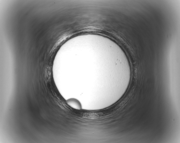 X0000103431355200810031342