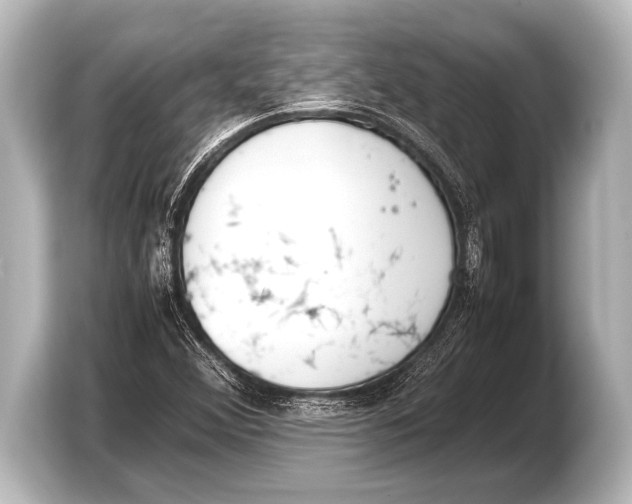 X0000103431356200810031342