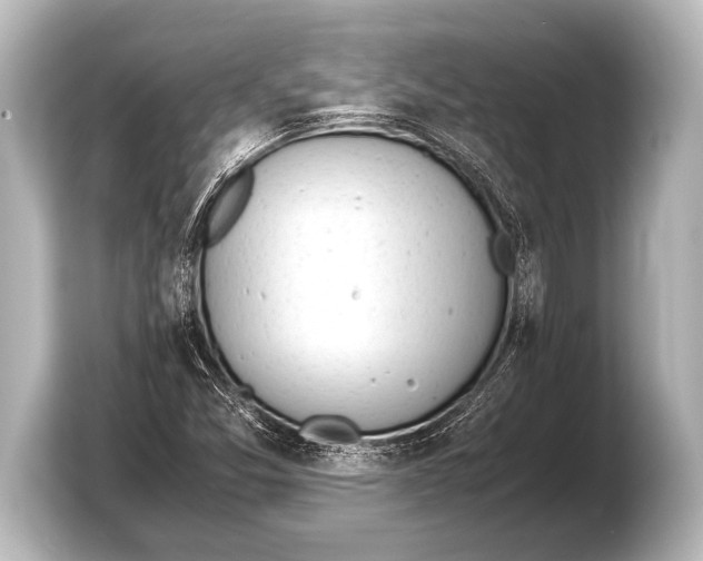 X0000103431357200810031342