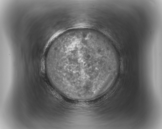 X0000103431358200810031342