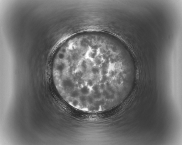 X0000103431359200810031342