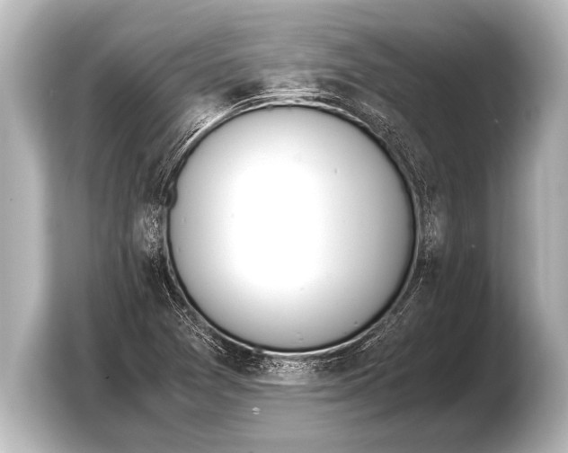 X0000103431361200810031342