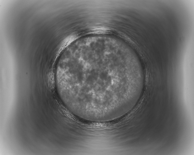 X0000103431362200810031342