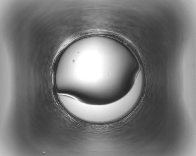 X0000103431365200810031342