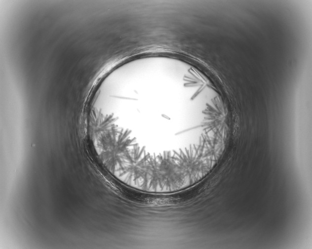 X0000103431367200810031342