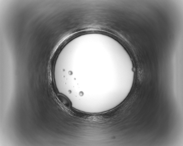 X0000103431368200810031342