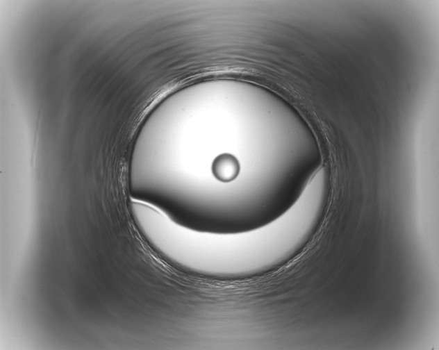 X0000103431369200810031342