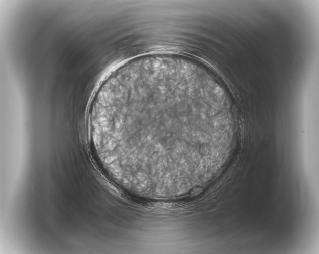 X0000103431371200810031342